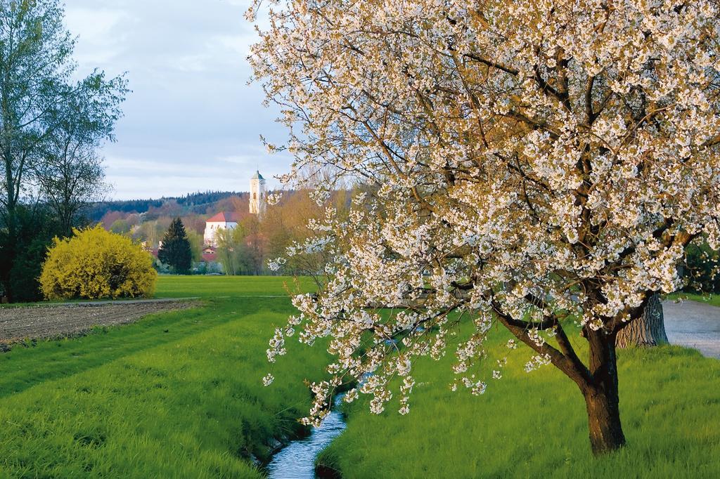 Hotel Sonnenhof Bad Birnbach Exteriör bild